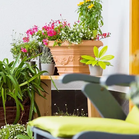 Apartment Wildgrün *