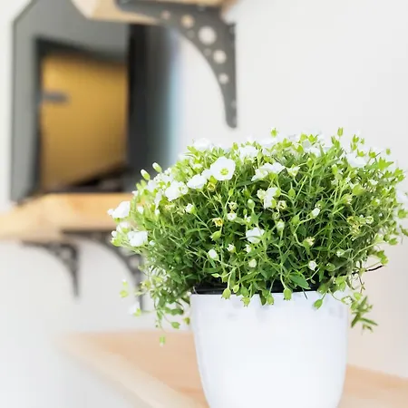 Apartment Wildgrün Pfronten