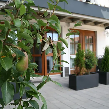 Apartment Wildgruen *